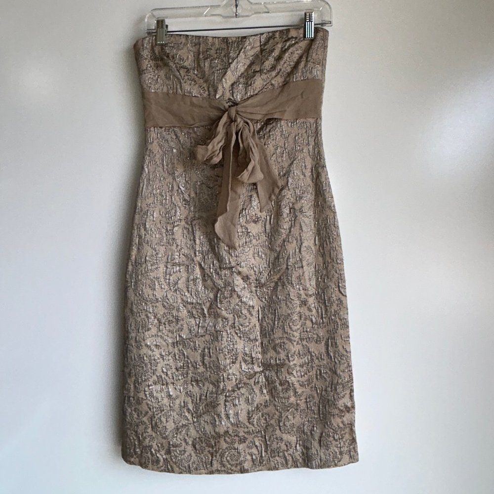 LEIFSDOTTIR Anthropologie Metallic Strapless Dress w/ Bow Size Medium